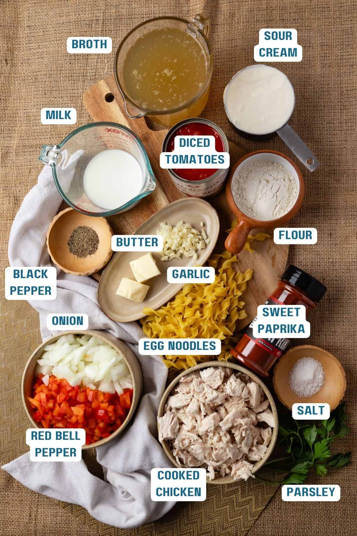 Ingredients to make chicken paprikash soup on the table in bowls.