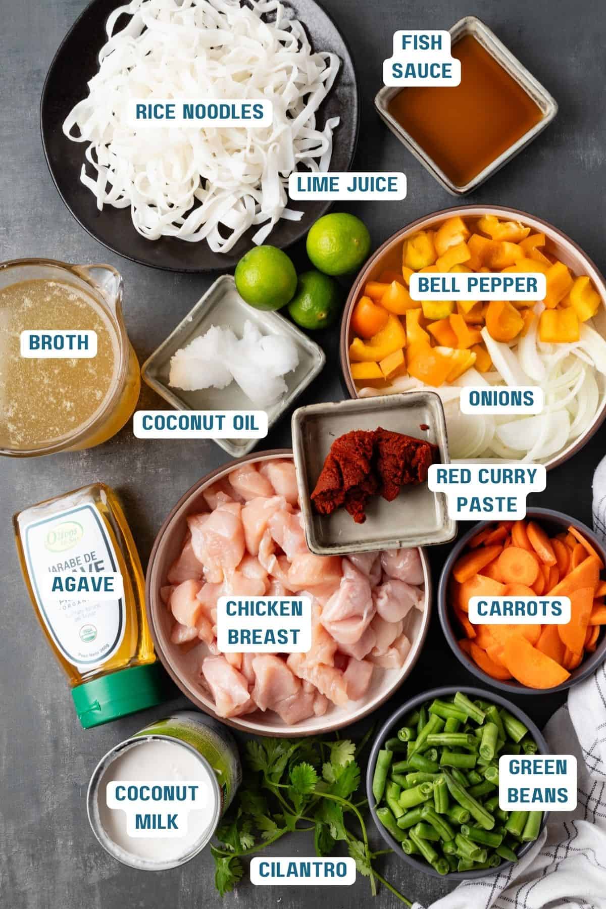 Ingredients to make Thai red curry noodle soup.