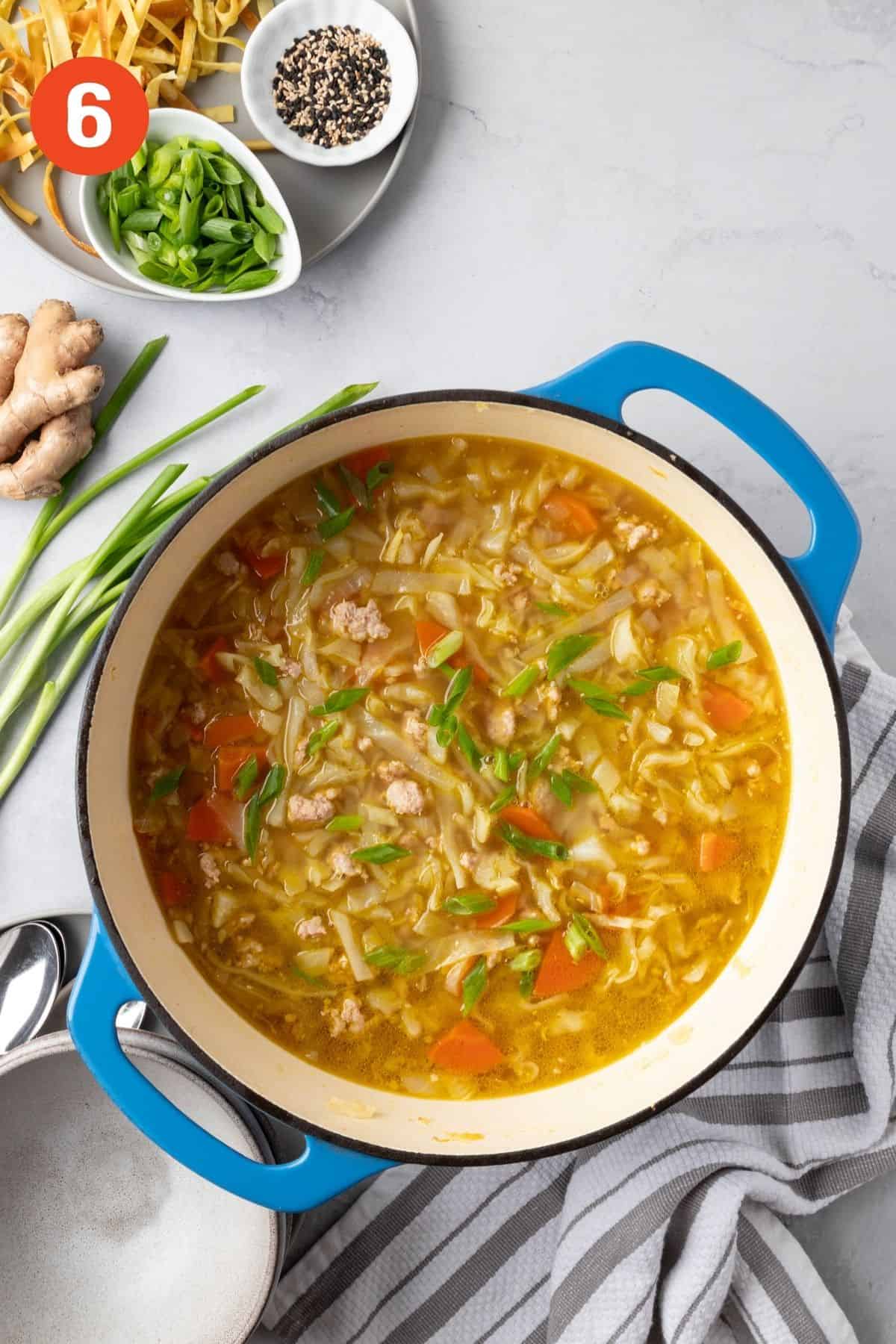 A pot of egg roll soup garnished with green onions.